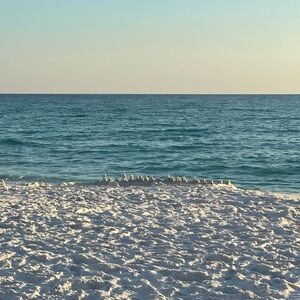 Meet your Posher, Jane